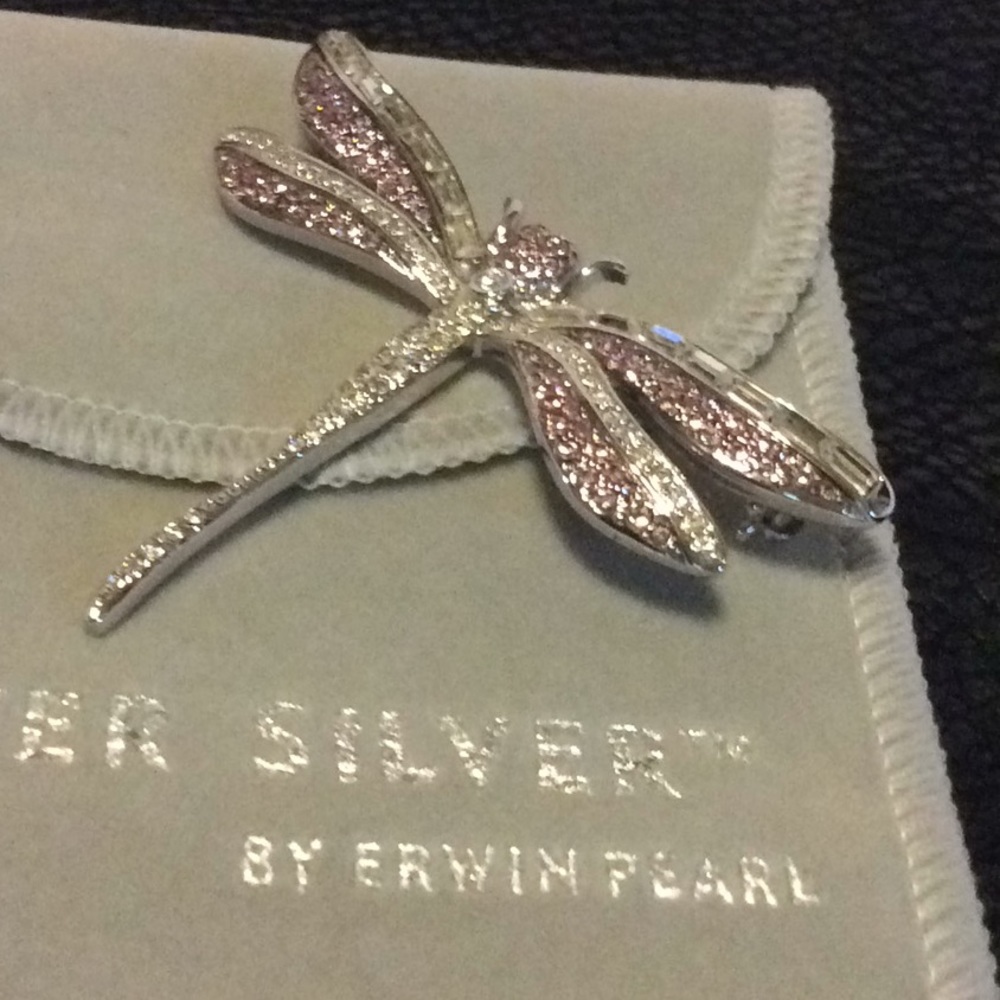 Beautiful Dragonfly Booch